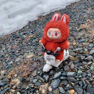 Meet your Posher, Posh